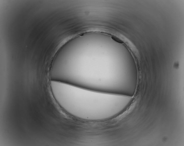 X0000103410993200809120944