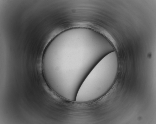 X0000103410994200809120944