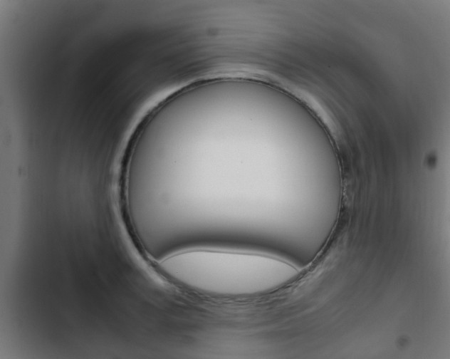X0000103410995200809120944