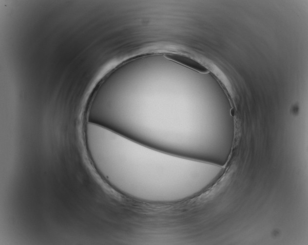 X0000103410997200809120944