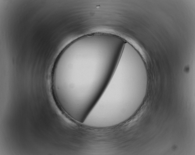 X0000103410999200809120944