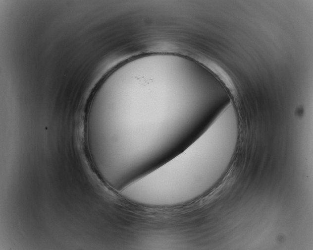 X0000103411000200809120944