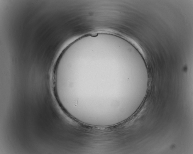 X0000103411003200809120943