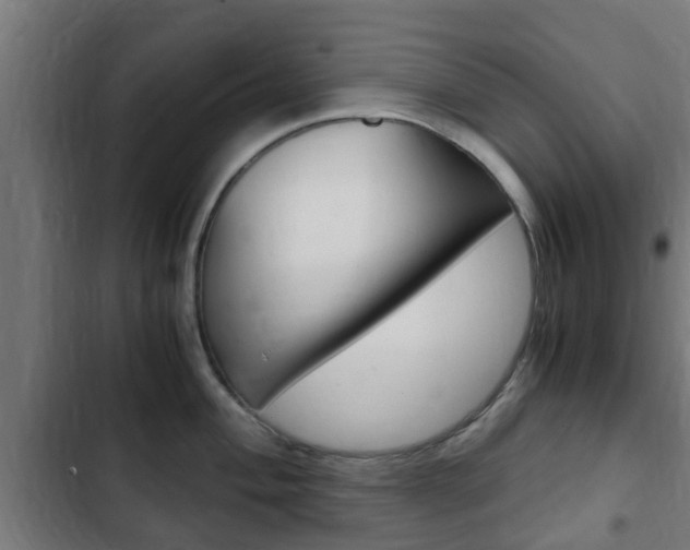 X0000103411004200809120943