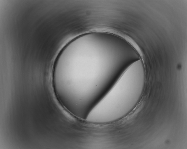 X0000103411005200809120943
