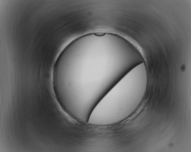X0000103411006200809120943