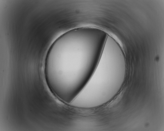 X0000103411007200809120943