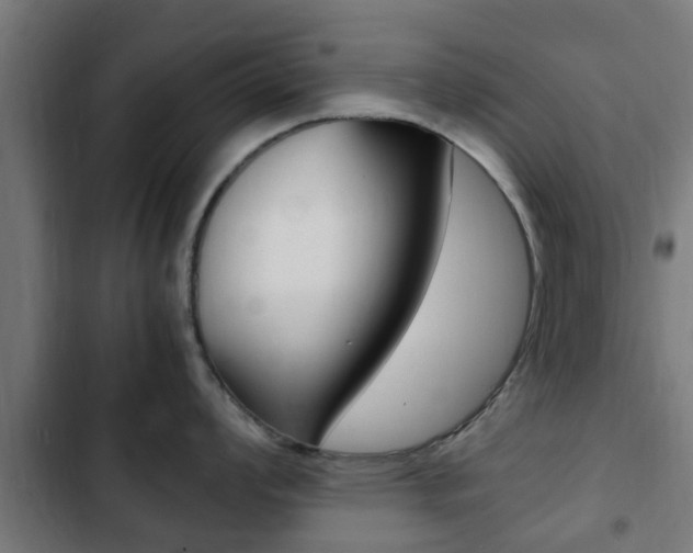 X0000103411008200809120943