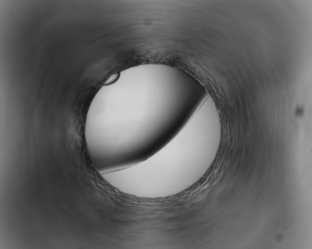 X0000103411010200809120943
