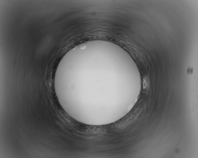 X0000103411011200809120943