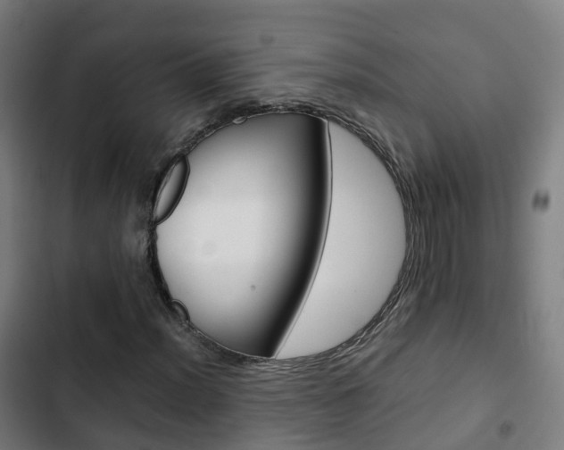 X0000103411012200809120943