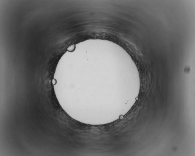 X0000103411013200809120943