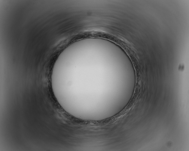 X0000103411014200809120943