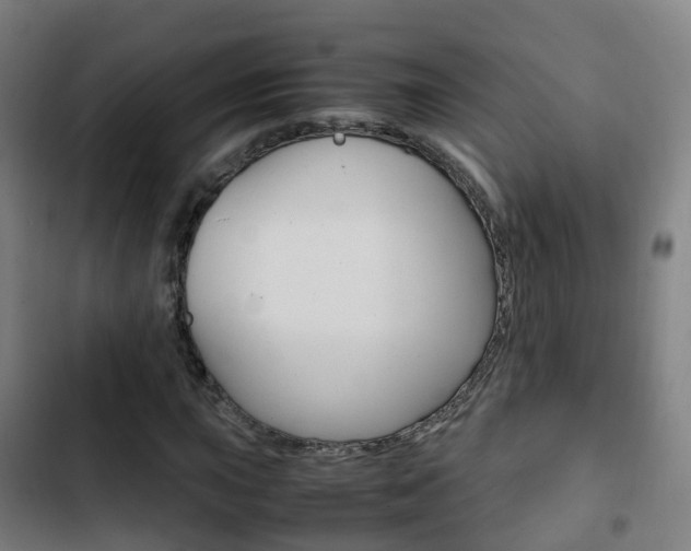 X0000103411015200809120943
