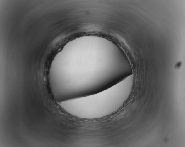 X0000103411016200809120943