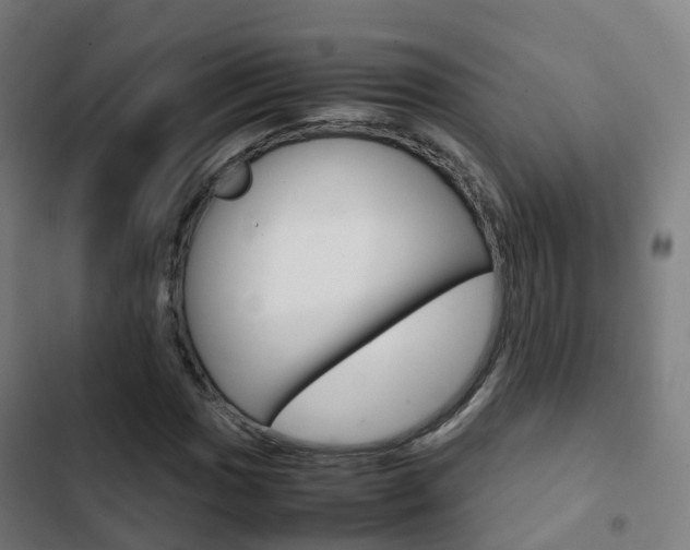 X0000103411017200809120943