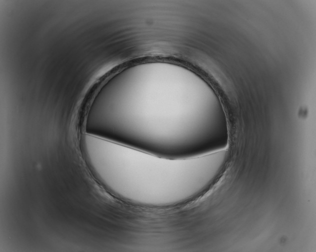 X0000103411018200809120943