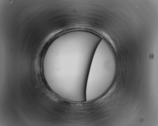 X0000103411019200809120943