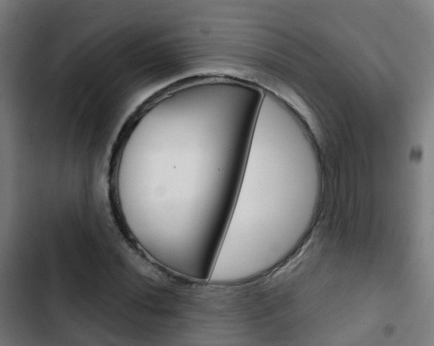 X0000103411020200809120943