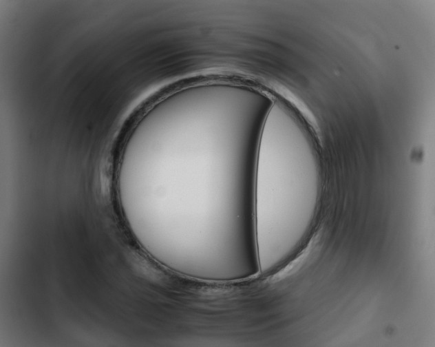 X0000103411021200809120943