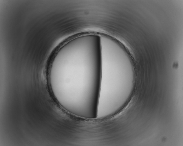 X0000103411022200809120943