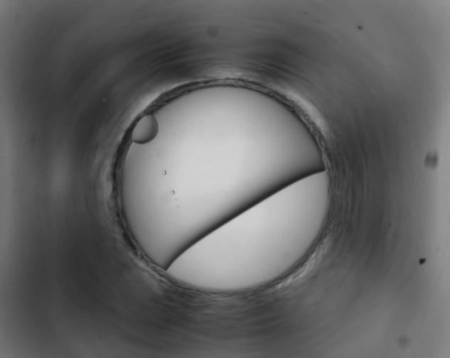 X0000103411023200809120943