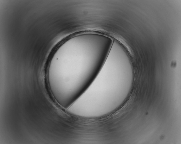X0000103411024200809120943