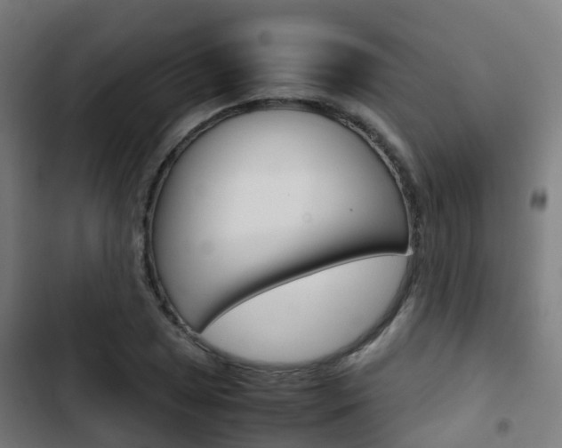 X0000103411025200809120943