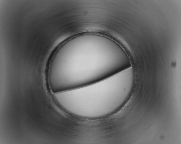 X0000103411026200809120943