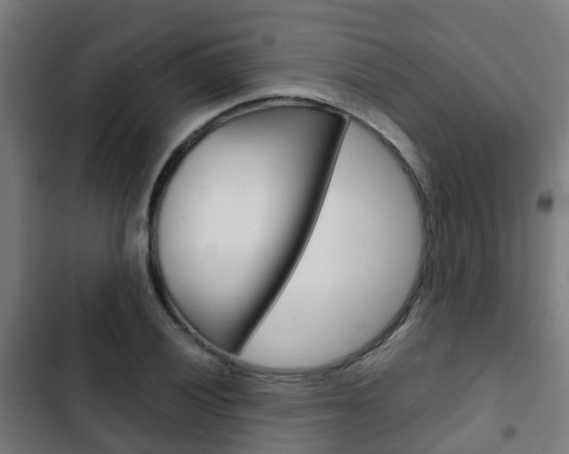 X0000103411028200809120943