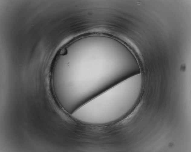 X0000103411029200809120943