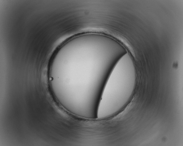 X0000103411030200809120943