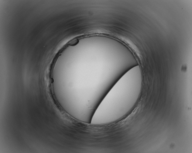 X0000103411031200809120943
