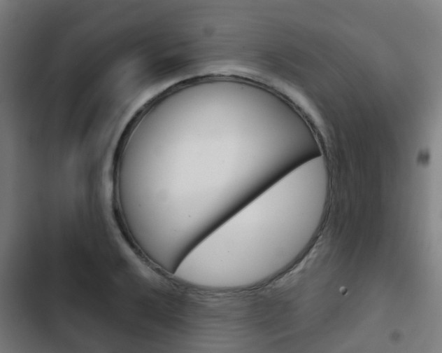 X0000103411032200809120943
