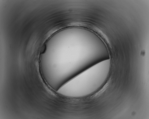 X0000103411033200809120943