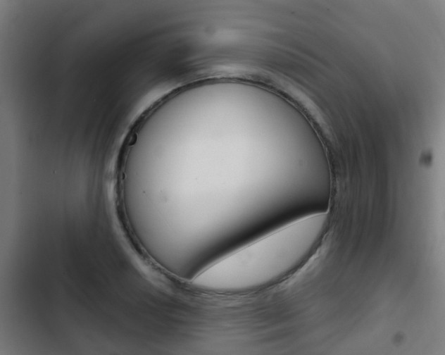 X0000103411034200809120943