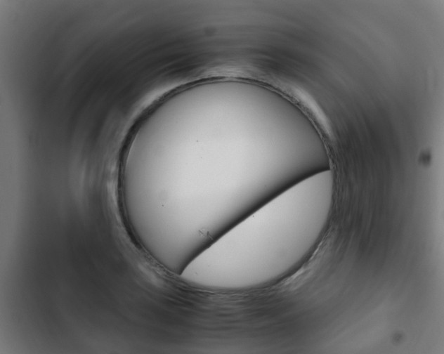 X0000103411035200809120943