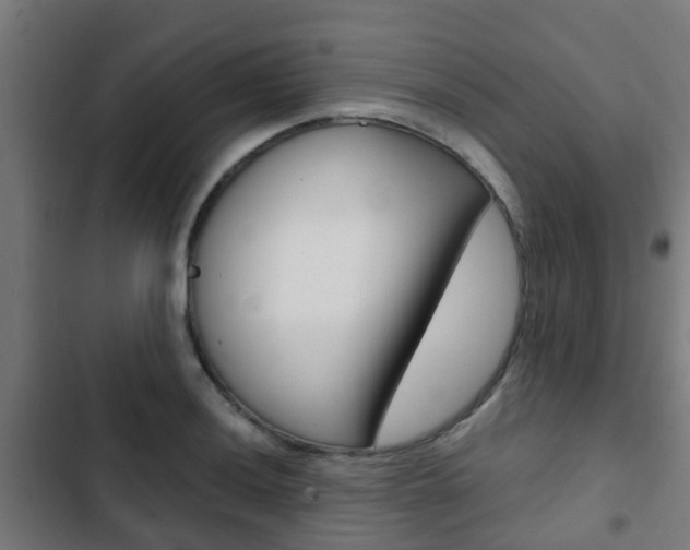 X0000103411036200809120943