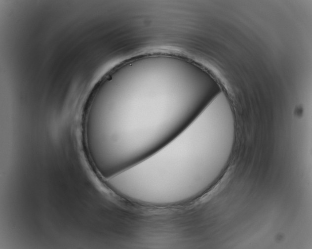 X0000103411038200809120943