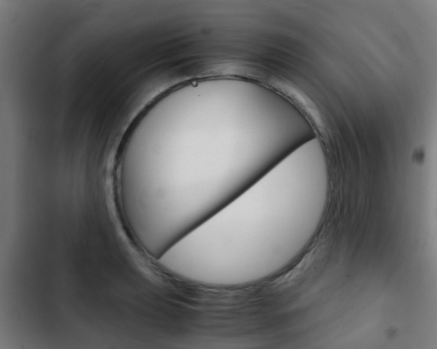 X0000103411039200809120943