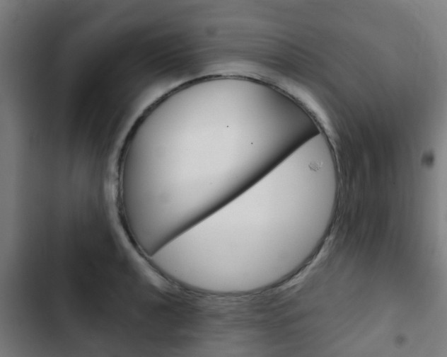 X0000103411040200809120943