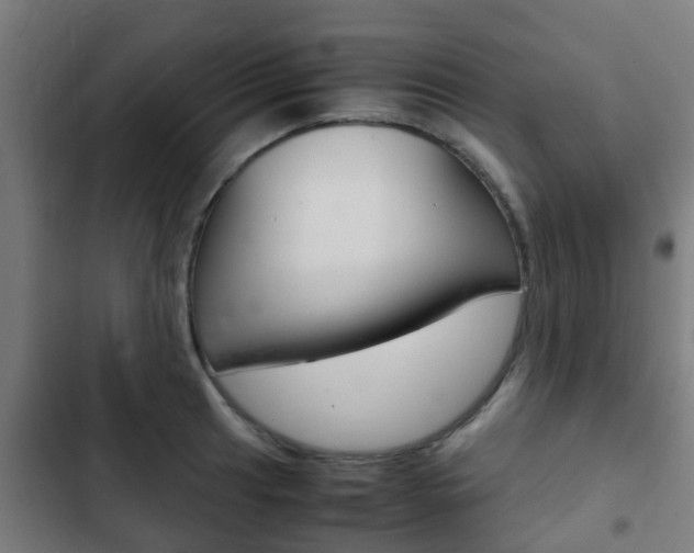 X0000103411041200809120943
