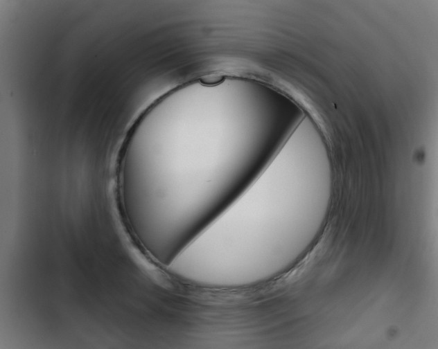 X0000103411042200809120943