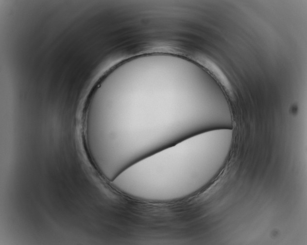 X0000103411043200809120943