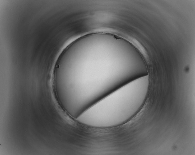 X0000103411044200809120943