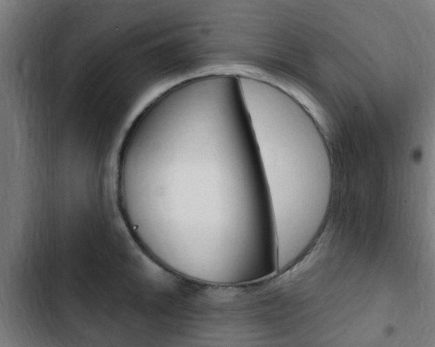 X0000103411046200809120943