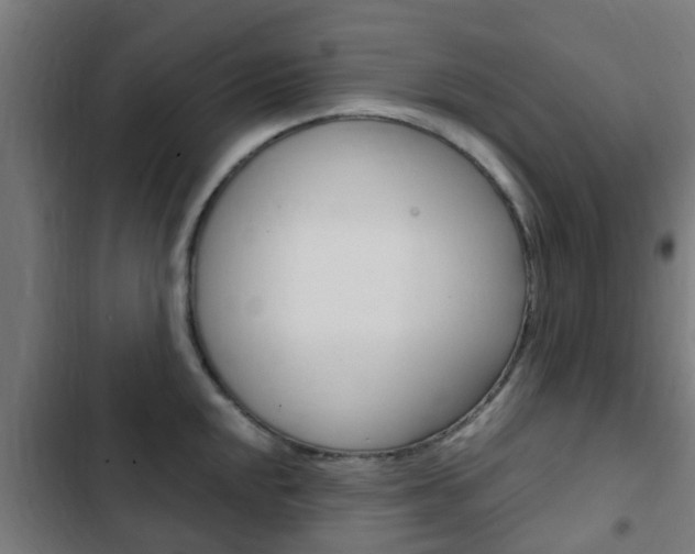 X0000103411048200809120943