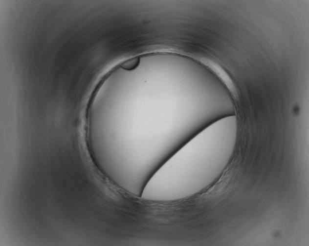 X0000103411051200809120943