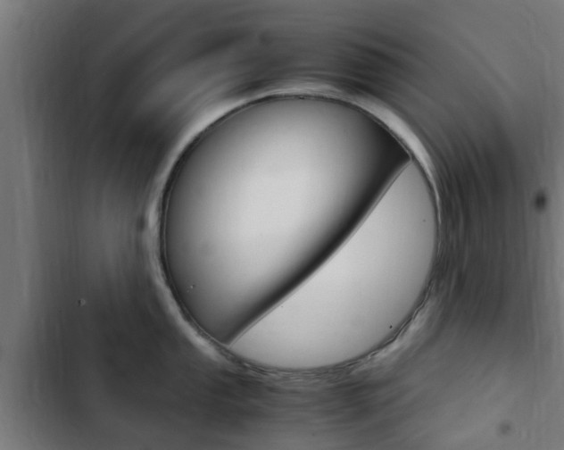 X0000103411053200809120943