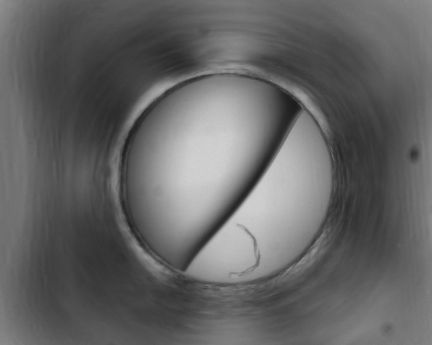 X0000103411054200809120943